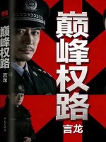 《巅峰权路》小说封面