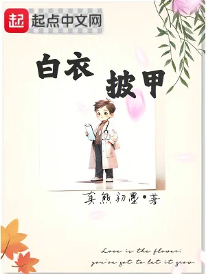 《白衣披甲》小说封面