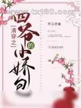 《清穿之四爷的小娇包》小说封面