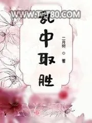 《乱中取胜》小说封面