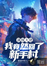 《满级大佬：我竟然回了新手村》小说封面