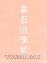 《帝王的宠妃是个O》小说封面