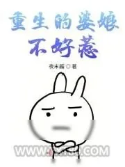《重生的婆娘不好惹》小说封面