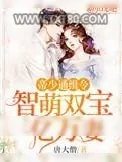 《帝少通缉令:智萌双宝亿万妻》小说封面