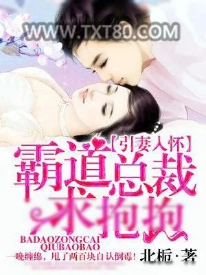 《霸道总裁求抱抱》小说封面