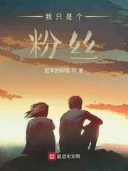 《我只是个粉丝》小说封面