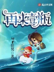 《再来壹瓶》小说封面