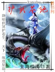《护武苍绝》小说封面