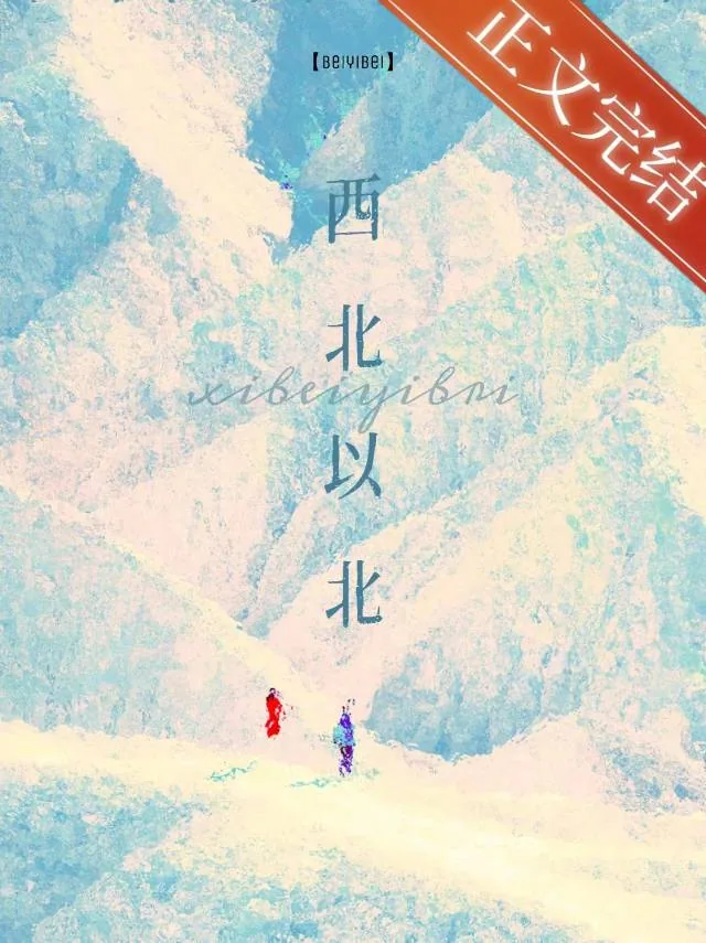 《西北以北》小说封面