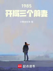 《1985：开局三个前妻》小说封面