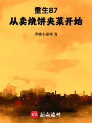 《重生87，从卖烧饼夹菜开始》小说封面