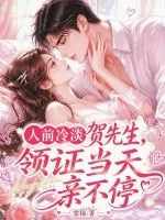 《人前冷淡贺先生，领证当天亲不停》小说封面