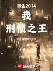 《导演的艺术就是搞钱》小说封面