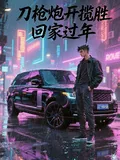 《刀枪炮开揽胜回家过年》小说封面