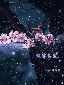 《综穿紫宸》小说封面