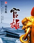 《官雄》小说封面