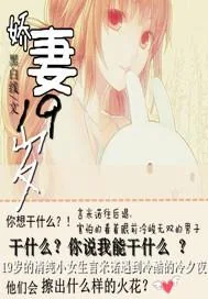 《娇妻十九岁》小说封面