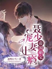 《帝国萌宝,聂少宠妻上瘾》小说封面