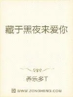 《藏于黑夜来爱你》小说封面