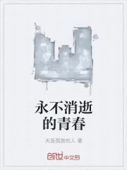 《永不消逝的青春》小说封面