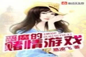 《恶魔的赌情游戏》小说封面