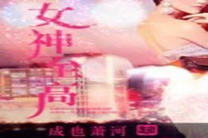 《女神至高》小说封面