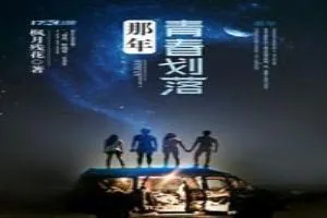 《那年，青春划落》小说封面