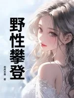 《野性攀登》小说封面