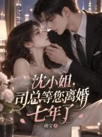 《沈小姐，司总等您离婚七年了》小说封面