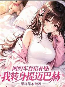 《网约车百倍补贴，我转身提迈巴赫》小说封面