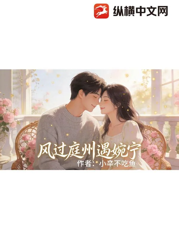 《风过庭州遇婉宁》小说封面