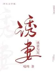 《诱妻为宠》小说封面