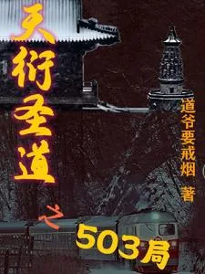 《天衍圣道之503局》小说封面