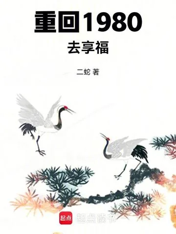 《重回1980去享福》小说封面