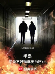 《半岛恋爱不好吗，非要当阿sir》小说封面