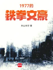 《1977的铁拳文豪》小说封面