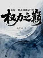 《问鼎:从小镇选调生到权力之巅》小说封面