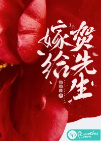 《嫁给贺先生》小说封面
