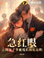《急红眼！京圈太子爷被甩后彻底沦陷》小说封面