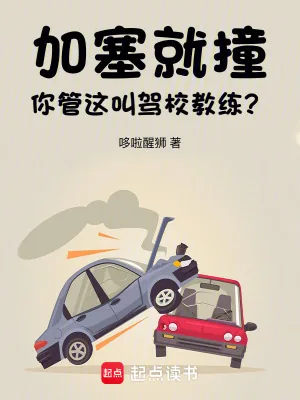 《加塞就撞，你管这叫驾校教练？》小说封面