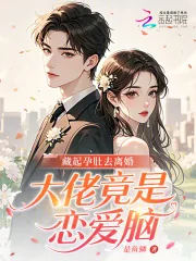 《藏起孕肚去离婚，大佬竟是恋爱脑》小说封面