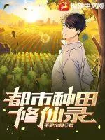 《都市种田修仙录》小说封面
