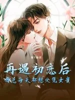 《再遇初恋后，傅总每天都想父凭女贵》小说封面