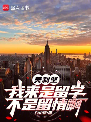 《美利坚：我来是留学，不是留情啊》小说封面