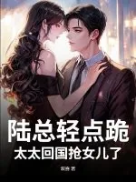 《陆总轻点跪，太太回国抢女儿了》小说封面
