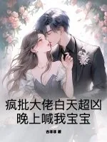 《疯批大佬白天超凶，晚上喊我宝宝》小说封面