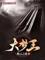 《大梦王》小说封面