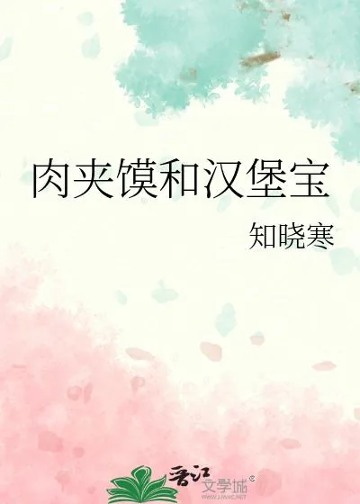 《肉夹馍和汉堡宝》小说封面