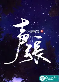 《声张》小说封面