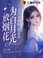 《女儿火化时，渣总在为白月光放烟花》小说封面